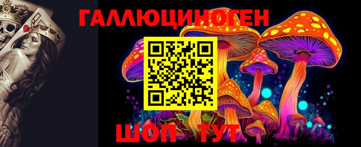 где найти   Вход с VPN  Кимры  Псилоцибиновые грибы GOLDEN TEACHER  Псилоцибиновые грибы ЛСД 